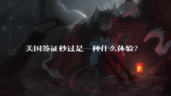美国签证秒过是一种什么体验？