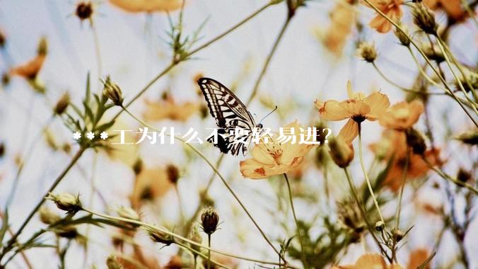 ***工为什么不要轻易进？